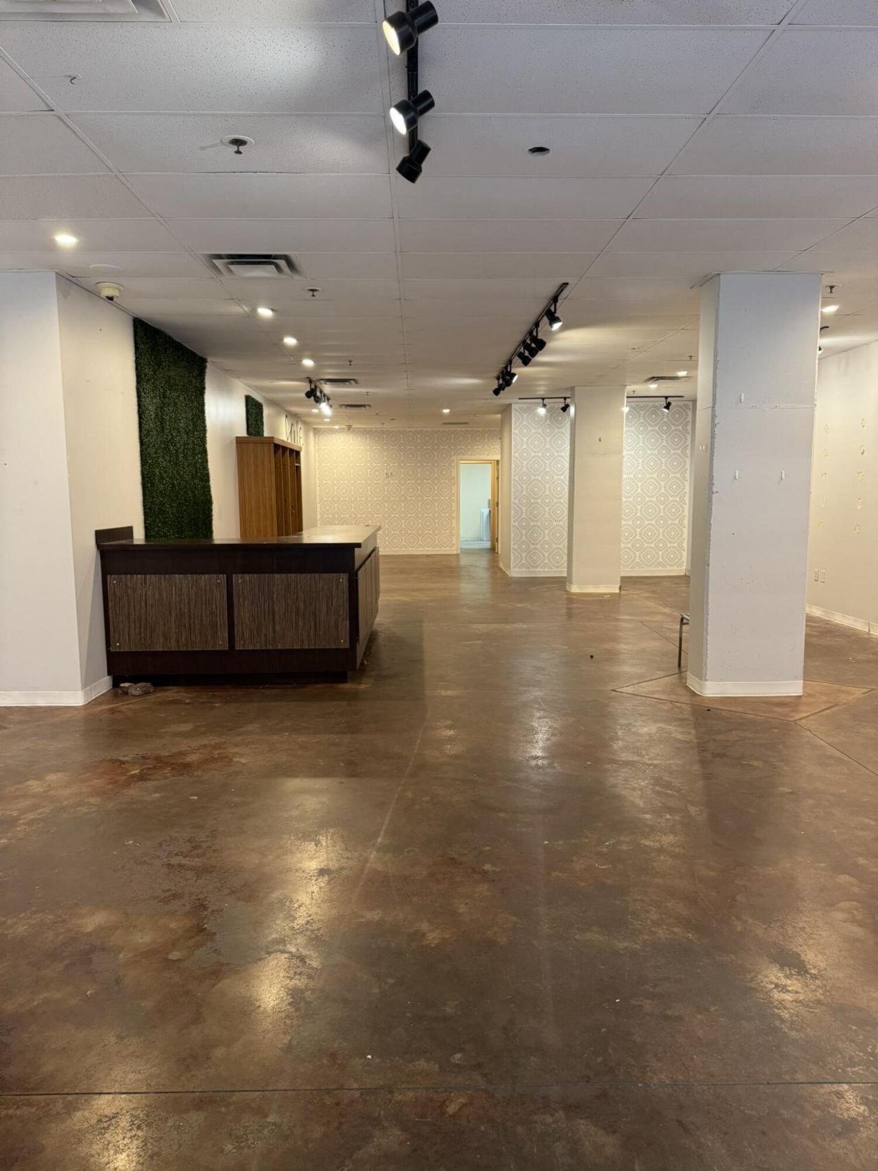 51 George Street Photo 6