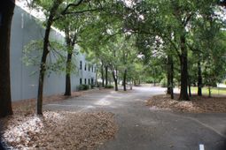 1023 Legrand Boulevard photo 4