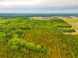 888 Cook Road Photo 5