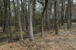 755 Orangeburg Road photo 4