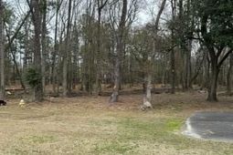 755 Orangeburg Road photo 4