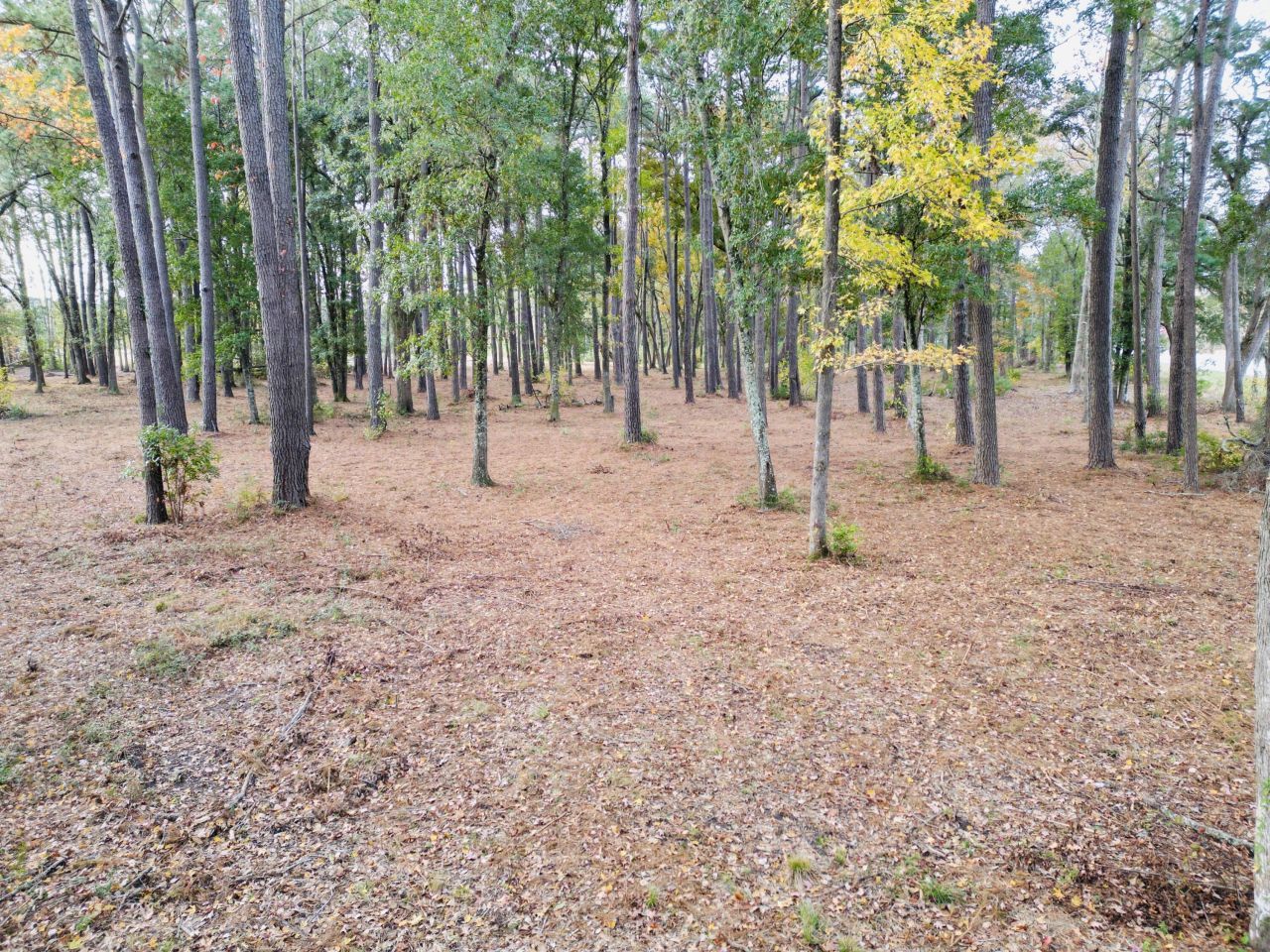 565 Robert Smalls Parkway Photo 31