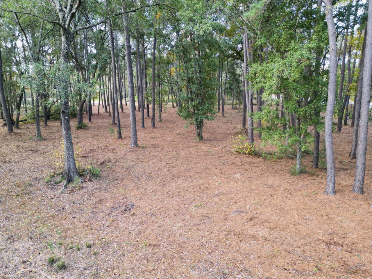 565 Robert Smalls Parkway Photo 34