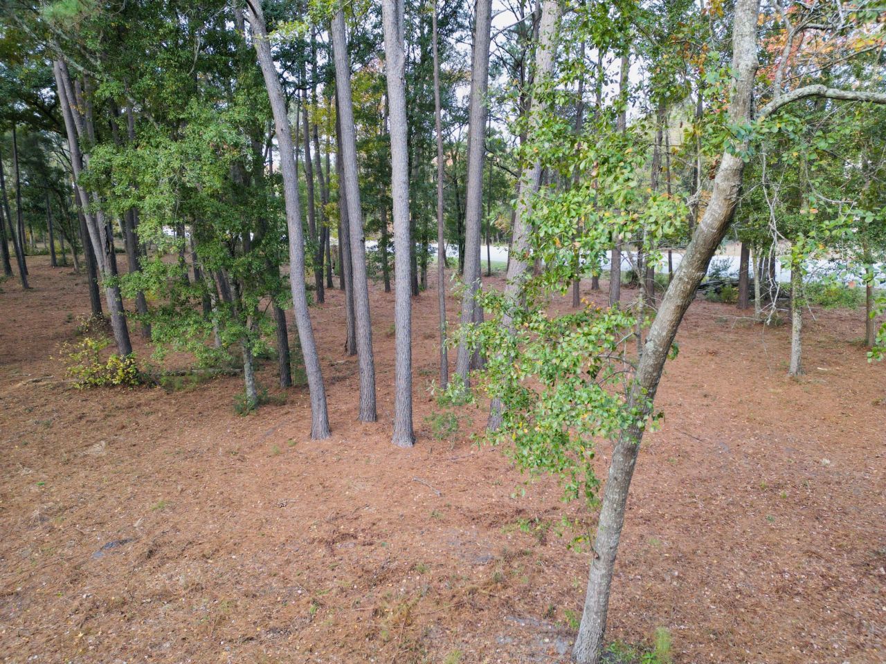 565 Robert Smalls Parkway Photo 35