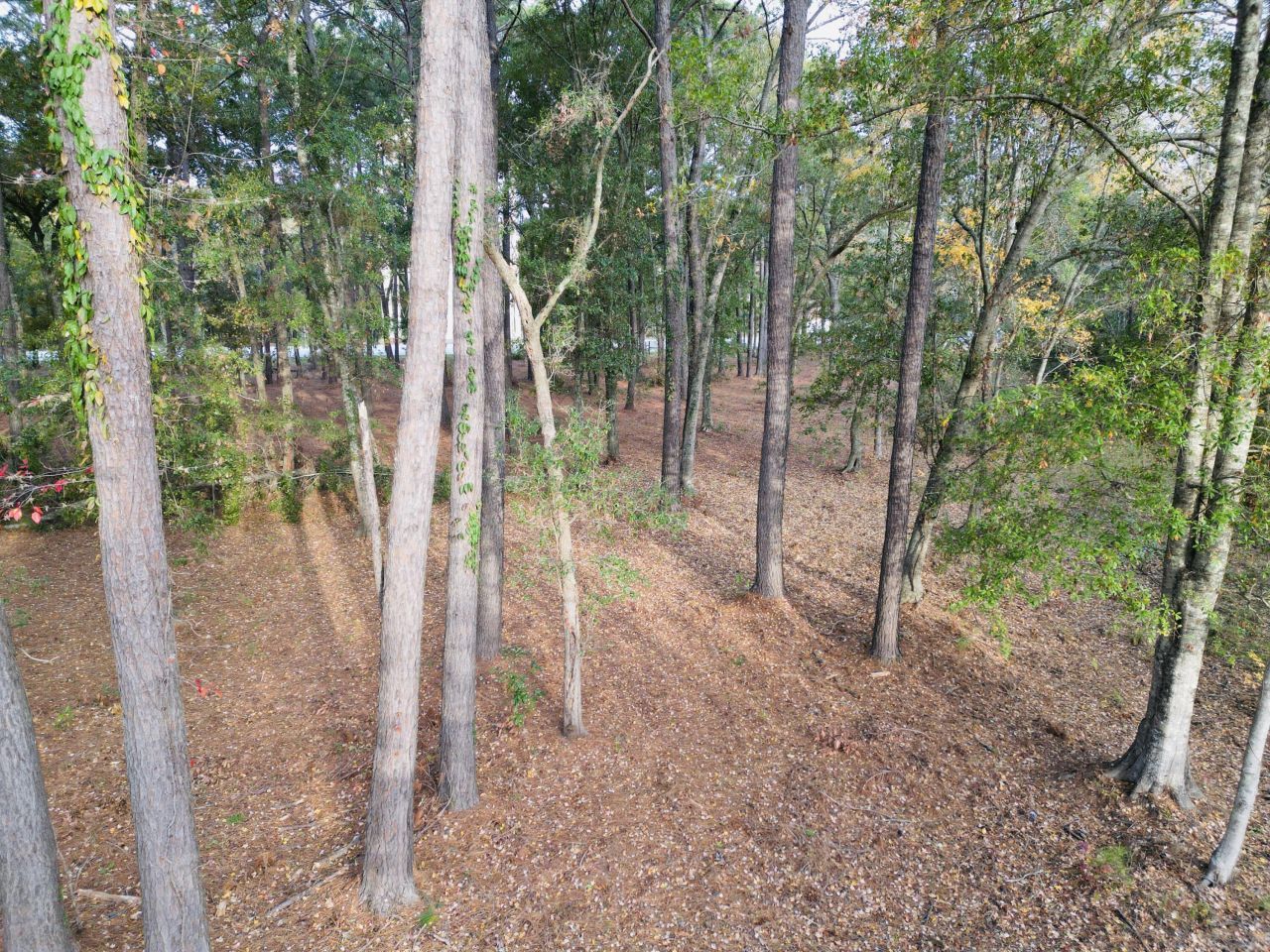 565 Robert Smalls Parkway Photo 37