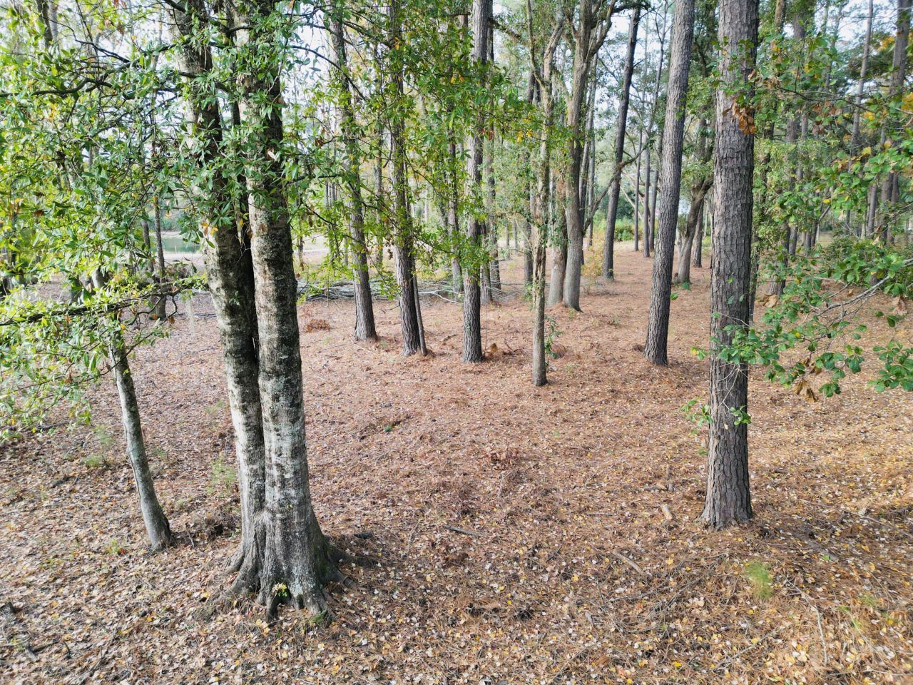 565 Robert Smalls Parkway Photo 38