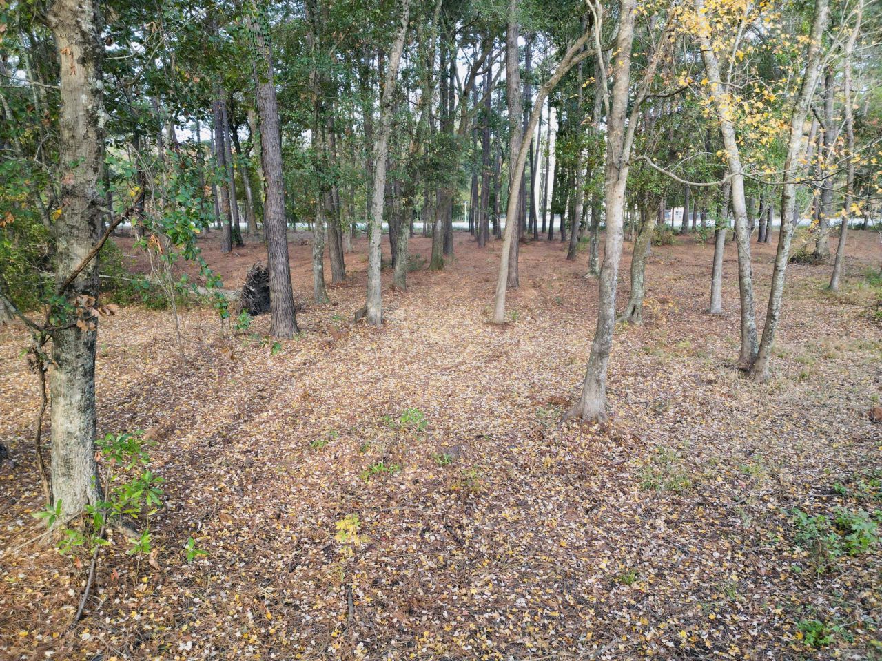 565 Robert Smalls Parkway Photo 39