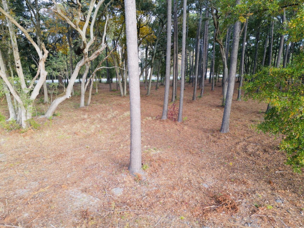 565 Robert Smalls Parkway Photo 40