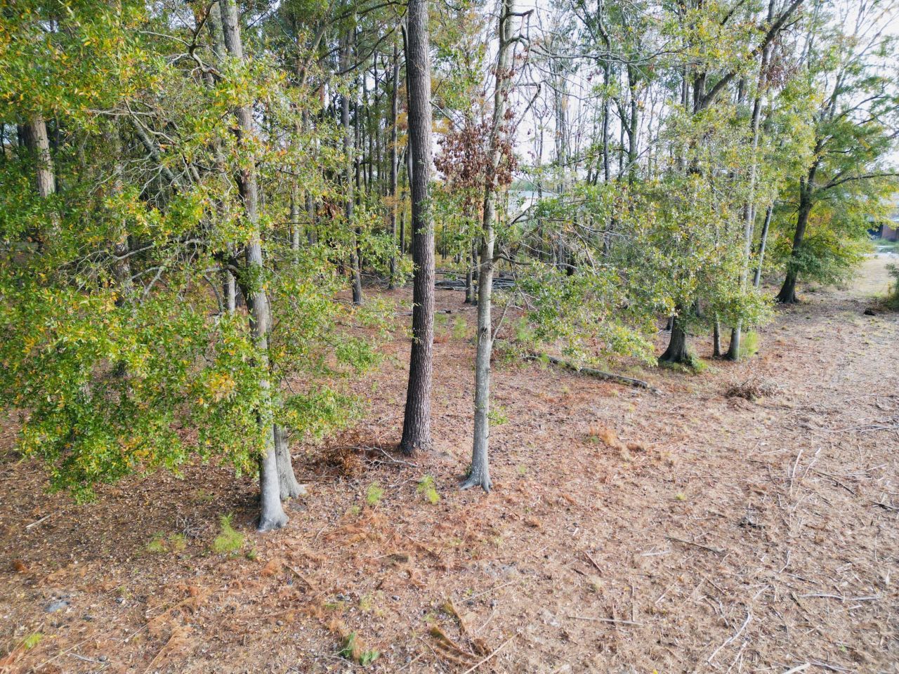 565 Robert Smalls Parkway Photo 41