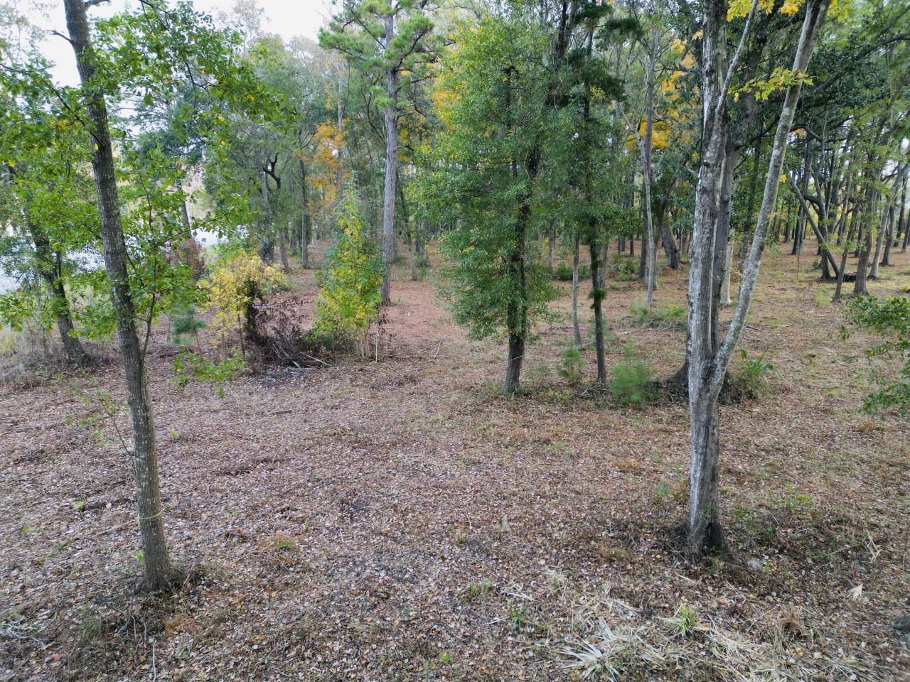 565 Robert Smalls Parkway Photo 42