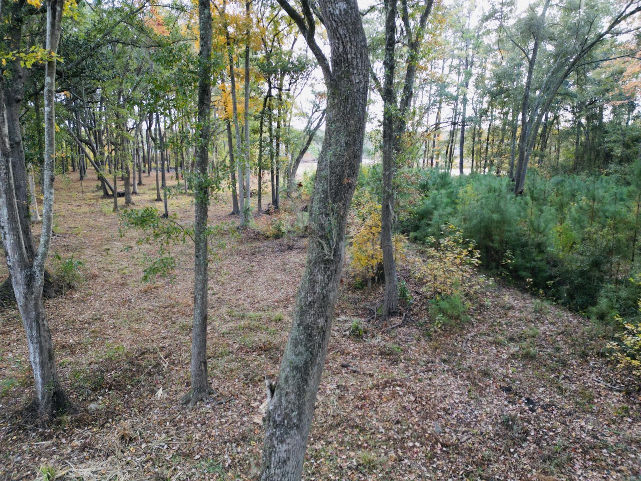 565 Robert Smalls Parkway Photo 43