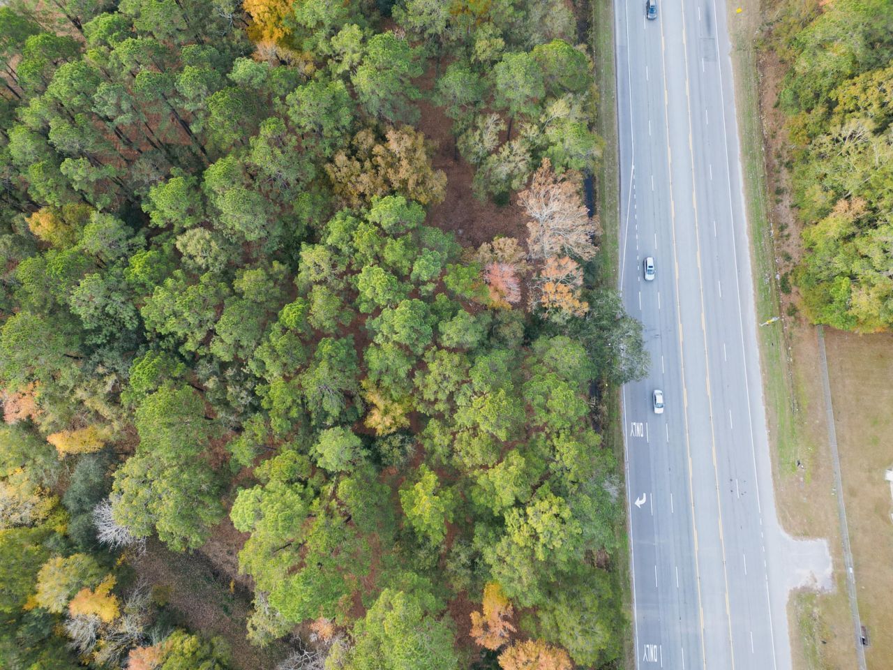 565 Robert Smalls Parkway Photo 51