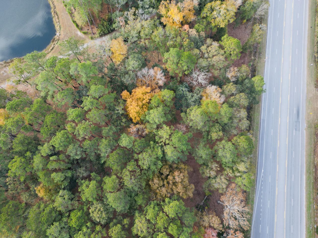 565 Robert Smalls Parkway Photo 53