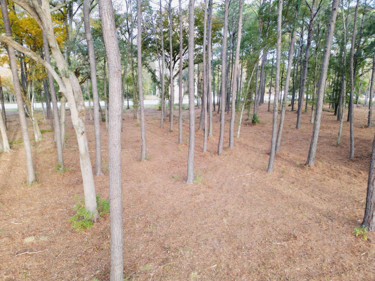 565 Robert Smalls Parkway Photo 56