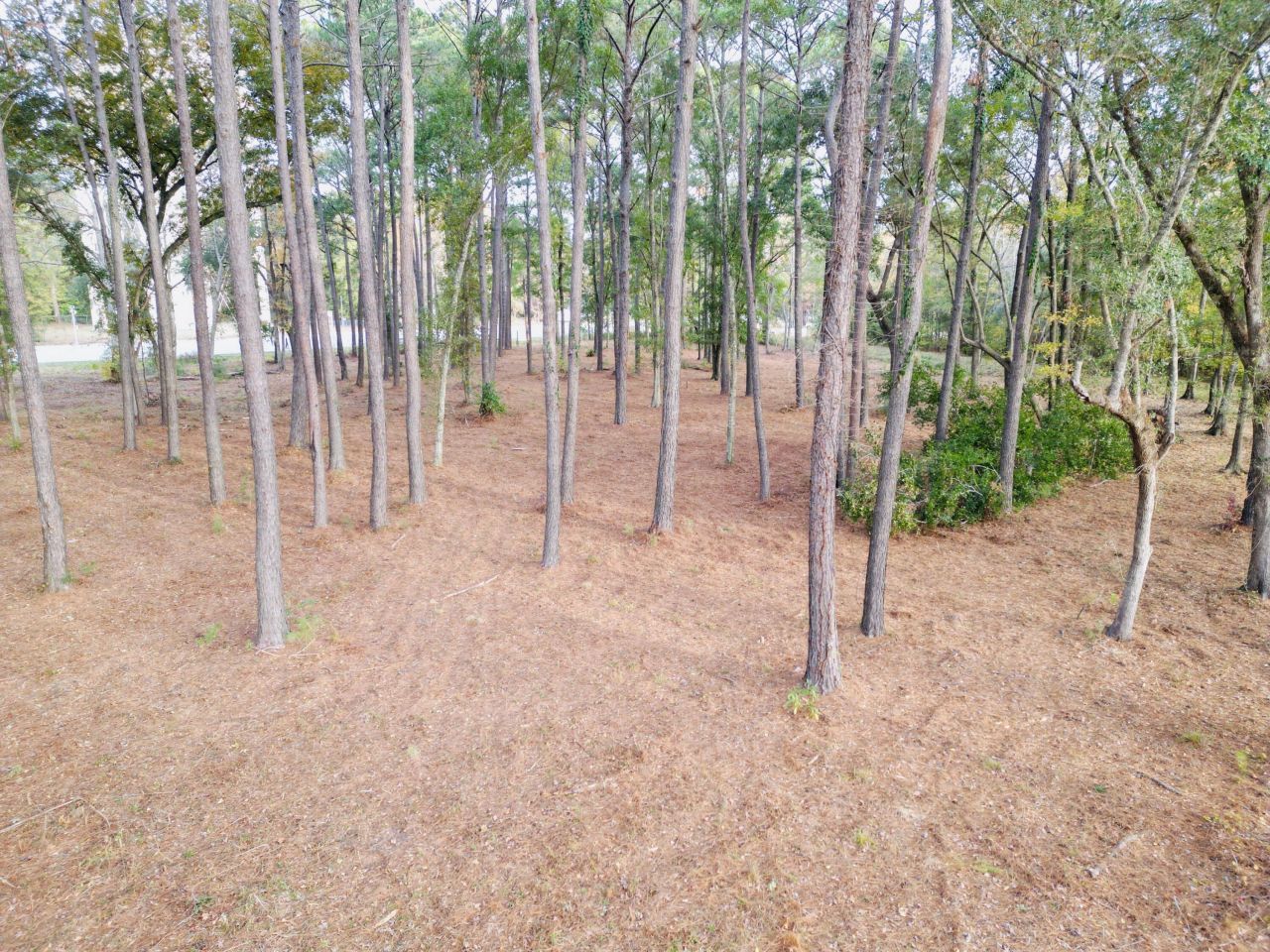 565 Robert Smalls Parkway Photo 57