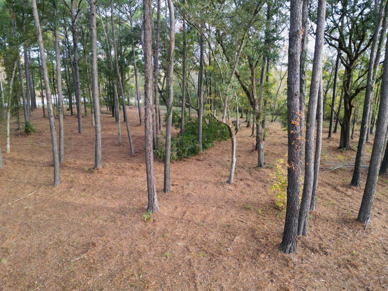 565 Robert Smalls Parkway Photo 58