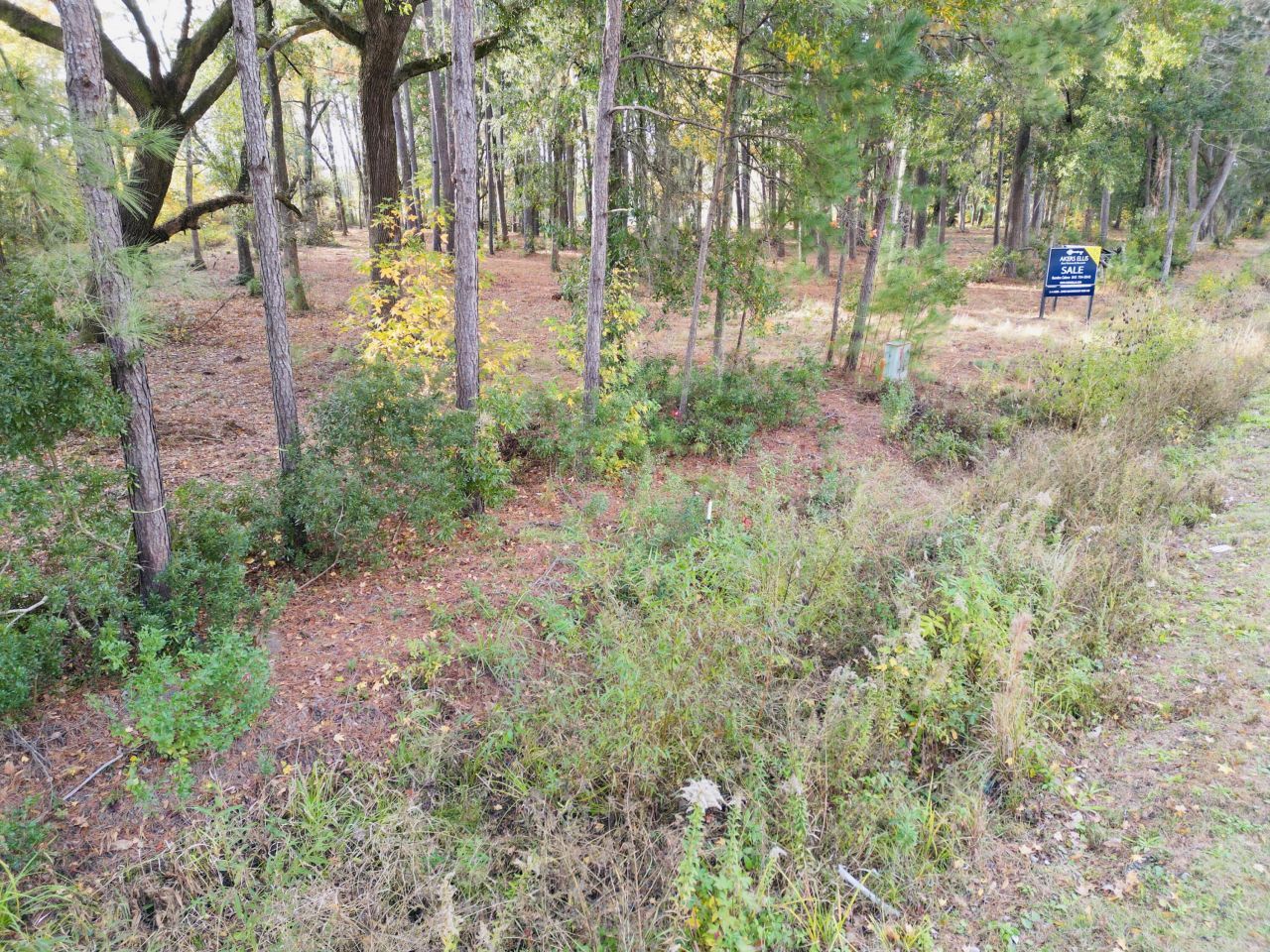 565 Robert Smalls Parkway Photo 61