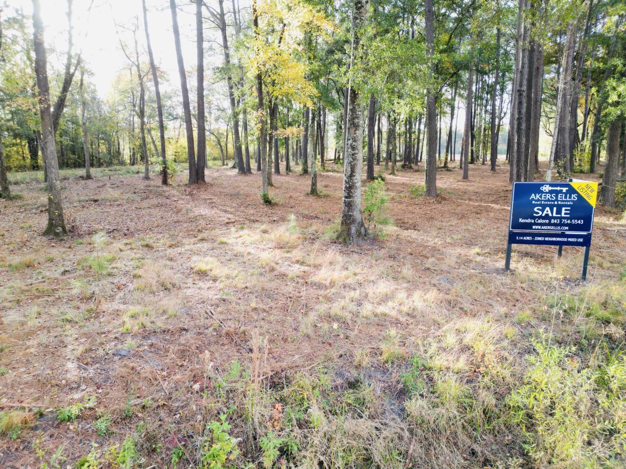 565 Robert Smalls Parkway Photo 62