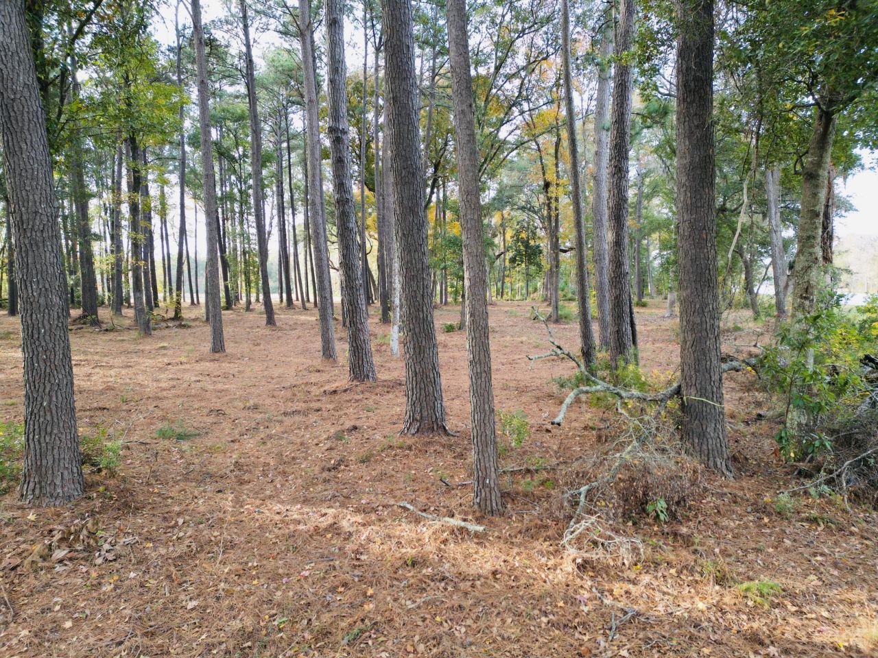 565 Robert Smalls Parkway Photo 65