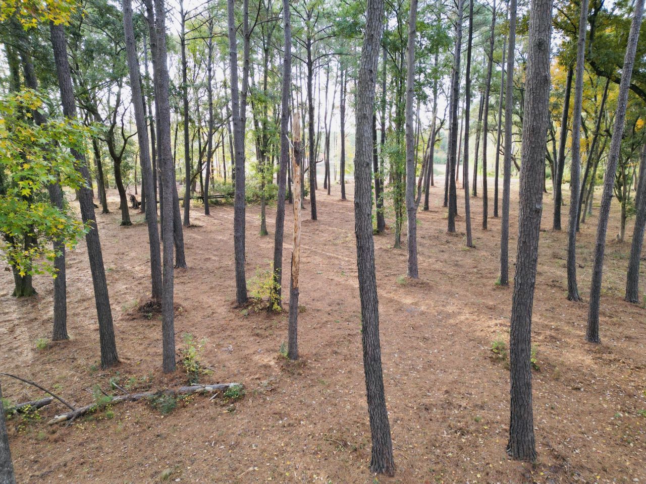 565 Robert Smalls Parkway Photo 66