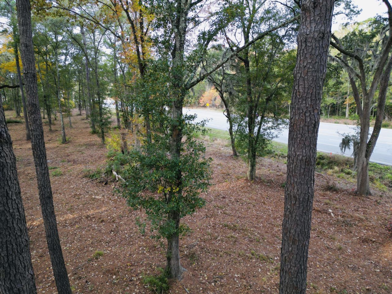 565 Robert Smalls Parkway Photo 68