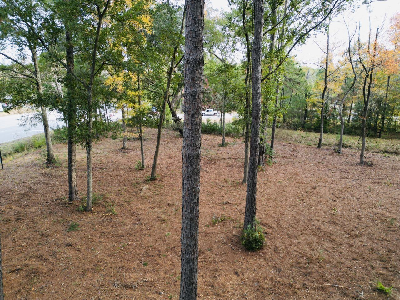 565 Robert Smalls Parkway Photo 71