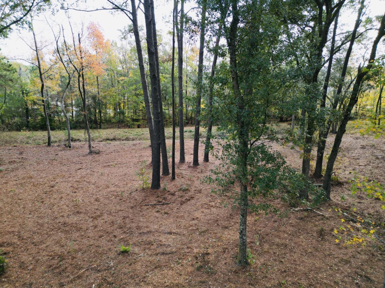 565 Robert Smalls Parkway Photo 72