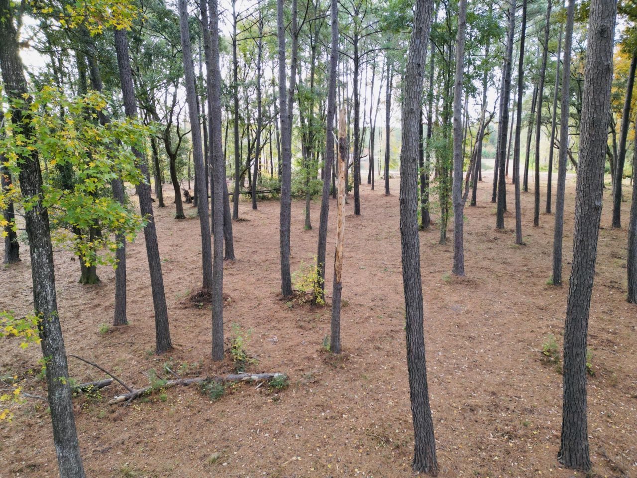 565 Robert Smalls Parkway Photo 73