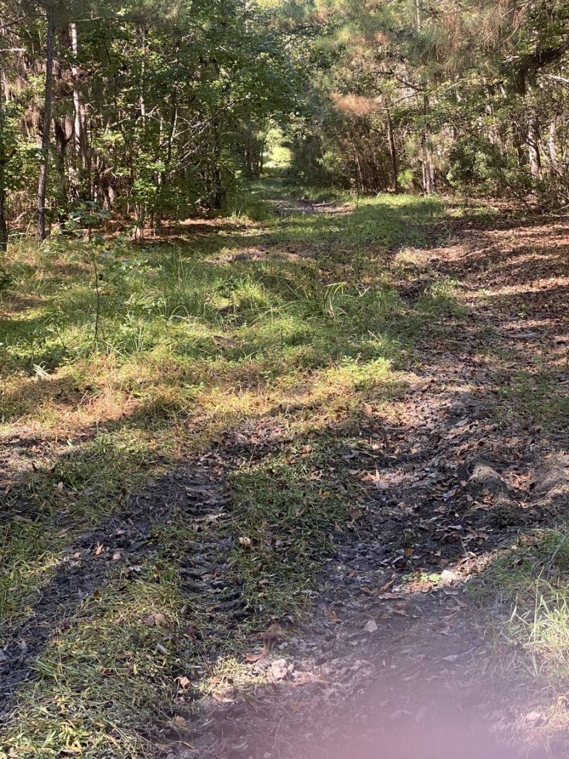 259 Interstate Drive Photo 2