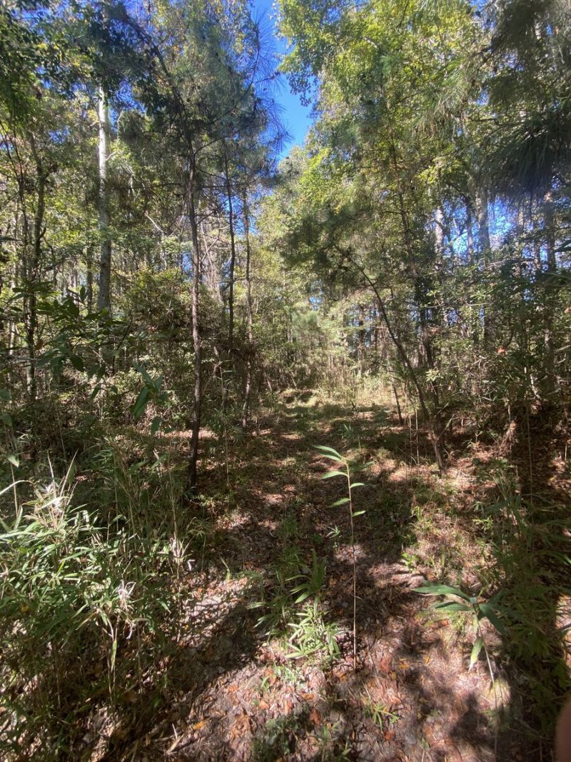 259 Interstate Drive Photo 3