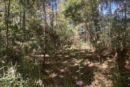 259 Interstate Drive photo 4