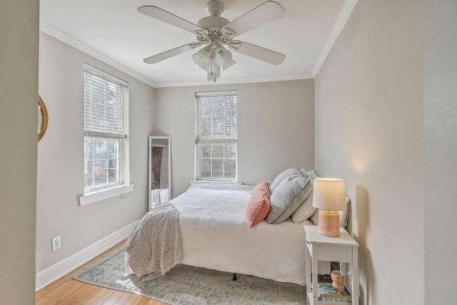 35-37 Ashton Street Photo 11