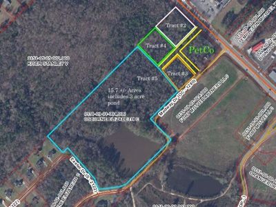 19.6 Acres North Road, Orangeburg, SC 29118
