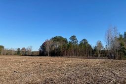 0 Pine Street  photo 4