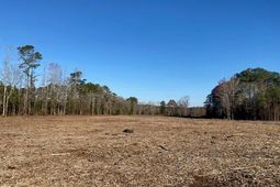 0 Pine Street  photo 4