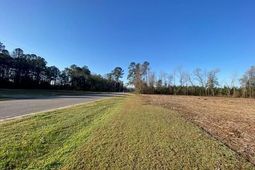 0 Pine Street  photo 4