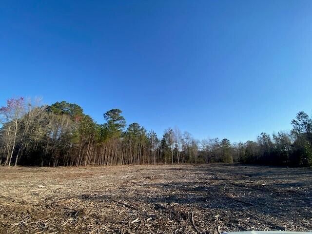 0 Pine Street  Photo 5