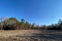 0 Pine Street  photo 4