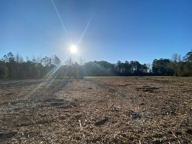 0 Pine Street  Photo 6