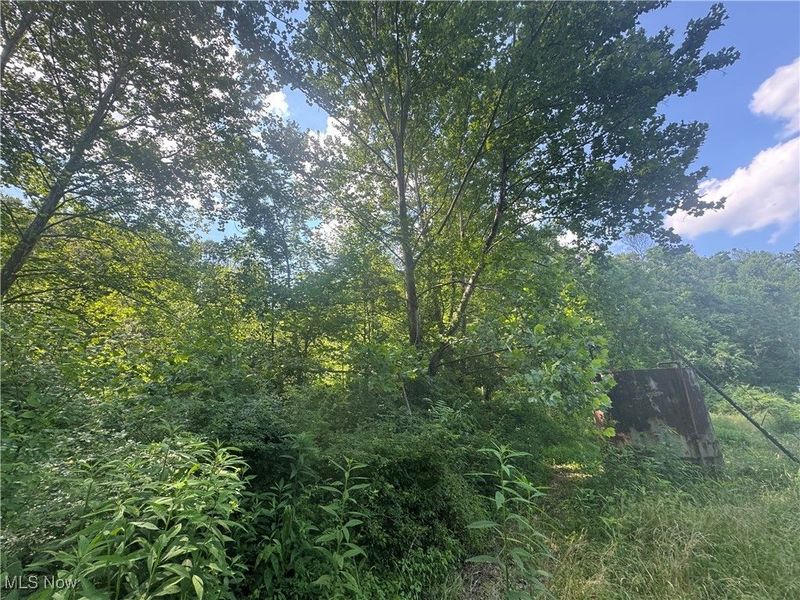 21730 County Road 9, New Matamoras, OH 45767 Photo 16