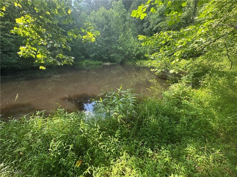 21730 County Road 9, New Matamoras, OH 45767 Photo 17