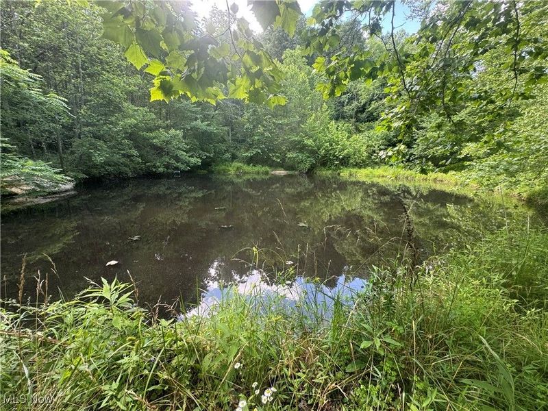 21730 County Road 9, New Matamoras, OH 45767 Photo 18