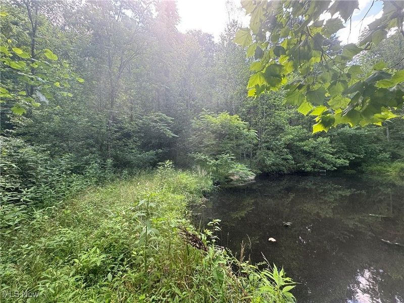 21730 County Road 9, New Matamoras, OH 45767 Photo 19