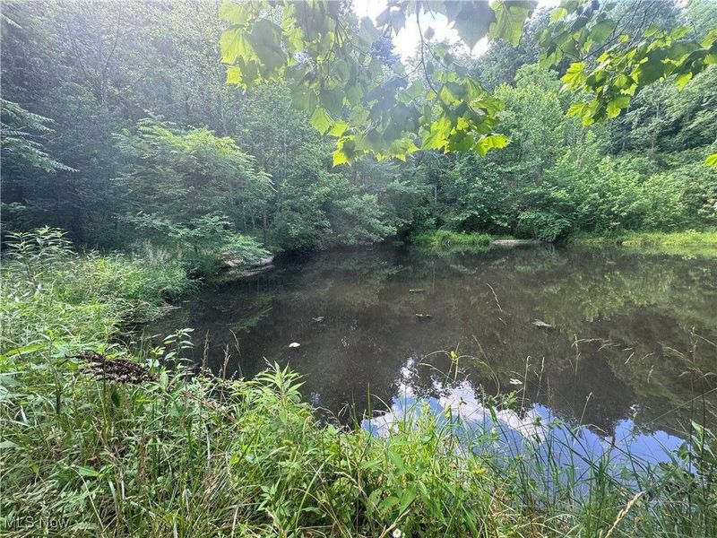 21730 County Road 9, New Matamoras, OH 45767 Photo 2