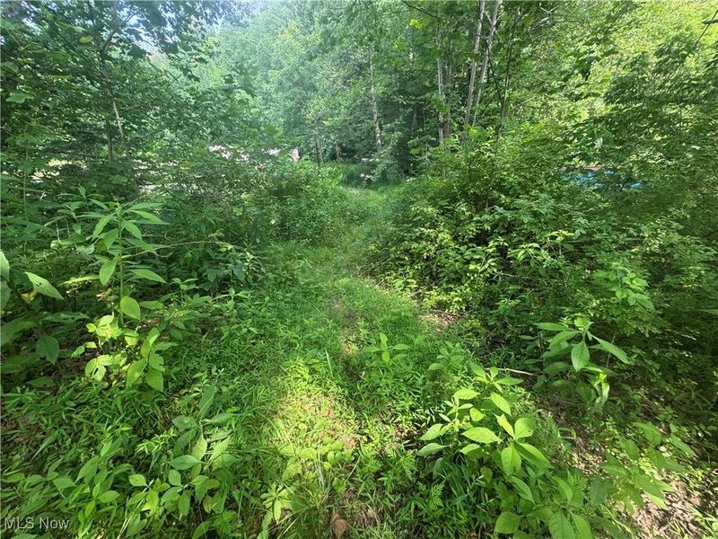 21730 County Road 9, New Matamoras, OH 45767 Photo 21