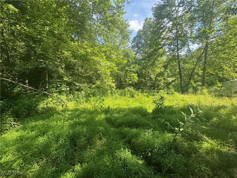 21730 County Road 9, New Matamoras, OH 45767 Photo 25