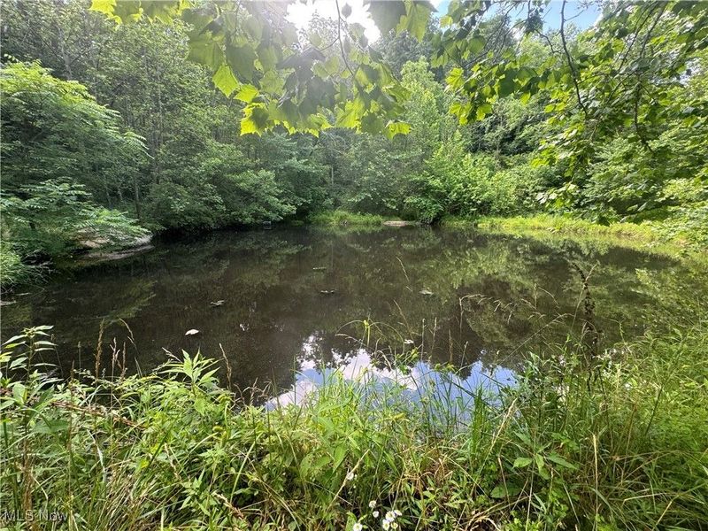 21730 County Road 9, New Matamoras, OH 45767 Photo 3