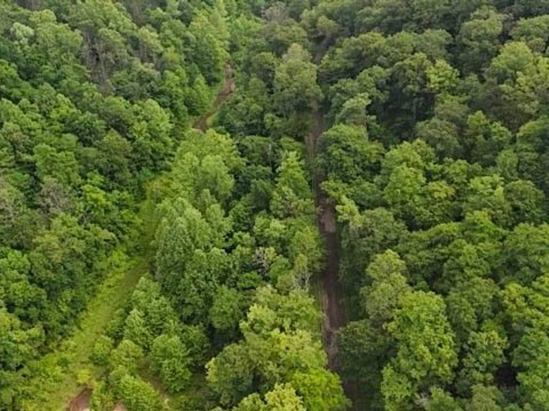 21730 County Road 9, New Matamoras, OH 45767 Photo 33