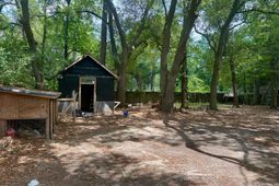 7638 Lady Street photo 4