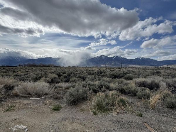 2596 Nowlin Road, Minden, NV 89423